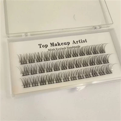 Taiteilija Lash