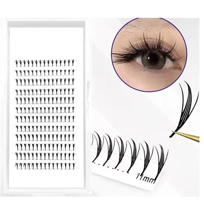 anime cosplay ripset